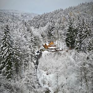 Pensjonat Alpejski Dwór